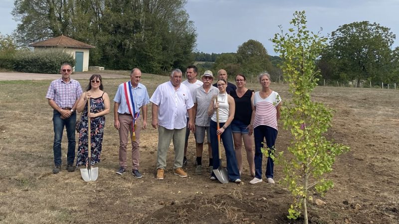 Deux arbres pour un nouveau mandat