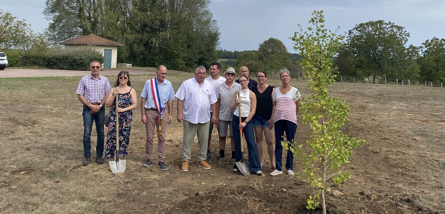 Deux arbres pour un nouveau mandat